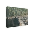 thumbnail image 2 of Trademark Fine Art 'Virginia Forest II' Canvas Art by Natasha Chabot, 2 of 3