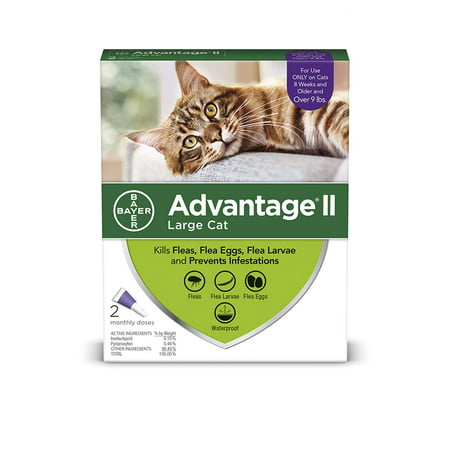 Advantage II Flea Control Large Cat (for Cats over 9 lbs.) - 2 Month, Kills adult fleas, eggs and larvae By Bayer Animal (Best Flea And Egg Killer For Home)