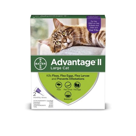 Advantage II Flea Control Large Cat (for Cats over 9 lbs.) - 2 Month, Kills adult fleas, eggs and larvae By Bayer Animal