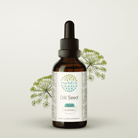HerbEra Dill Seed Tincture, Herbal Dietary Supplement for Digestive Support, Dill Seed (Anethum graveolens) Dried Seed Extract, Natural, Alcohol Tincture, Drops 2 oz