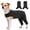 Black-L, variant on Dog Recovery Suit Post Surgical Protective Clothes With Leg Sleeves Prevents Licking Wound For Small Mediums Large Breeds