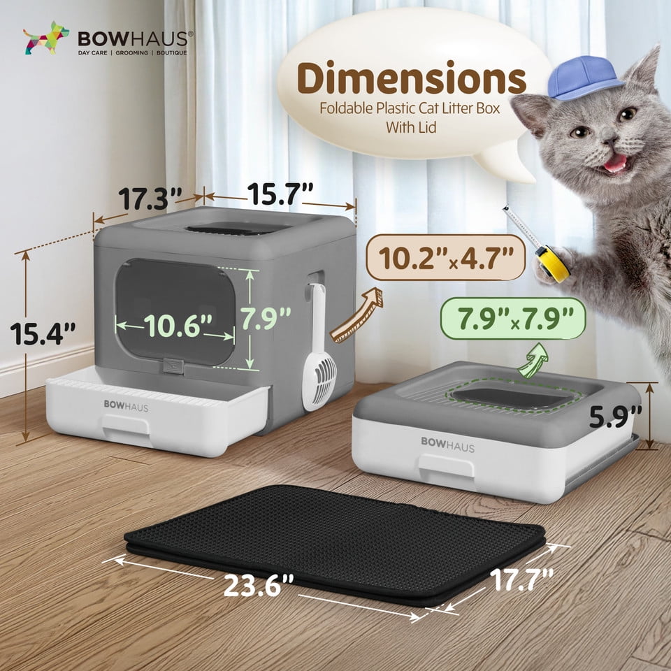 CAPHAUS Foldable Cat Litter Box with Lid for Kitten, Two-Way Entry & Exit Small Cat Box with Scoop, Cat Mat and Odor Fitter, Drawer Type Litter Pan for Easy to Clean, Dark Grey