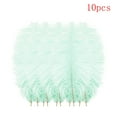 thumbnail image 2 of Clearance Under $3 Pedty 10 Feathers,10 Pcs Multicolor Plumage For Wedding Party Centerpieces Flower Arrangement Home Decoration Diy Big Floating Plume Hair Craft Decoration,Office Cabinet, 2 of 3