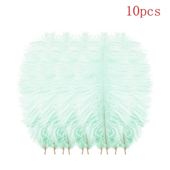 Clearance Office&Craft&Stationery under $10,10 Pcs Multicolor Plumage For Wedding Party Centerpieces Flower Arrangement Home Decoration Diy Big Floating Plume Hair Craft Decoration Wedding Plumag