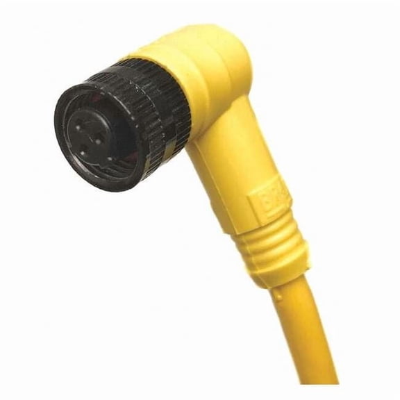 Brad Harrison Cordset,3 Pin,Receptacle,Female 703001D02F060