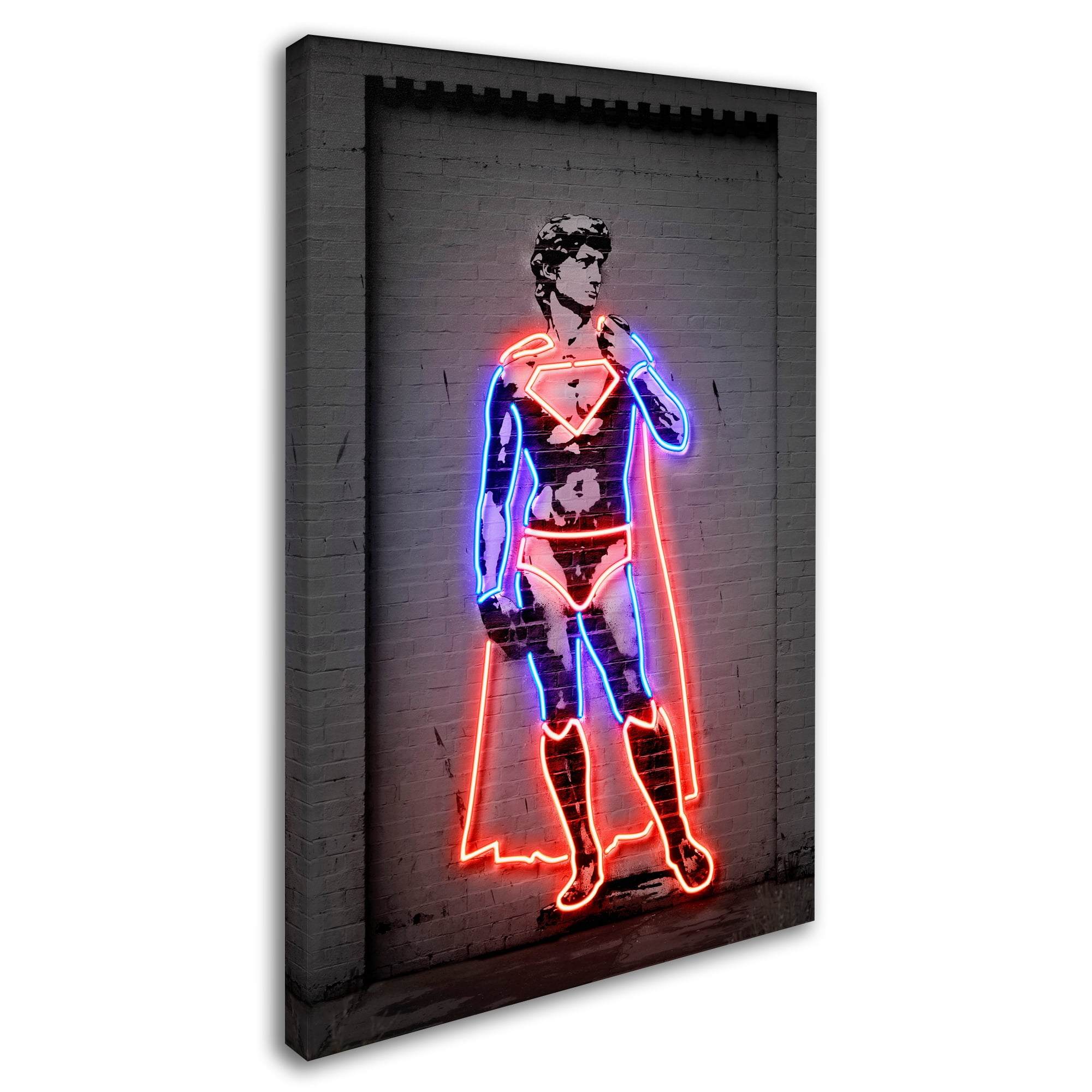 Trademark Fine Art 'David' Canvas Art by Octavian Mielu