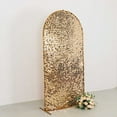 thumbnail image 5 of BalsaCircle 7 ft Gold Fitted Sparkly Big Payette Sequin Round Top Wedding Arch Backdrop Stand Cover Party Events Decorations, 5 of 8