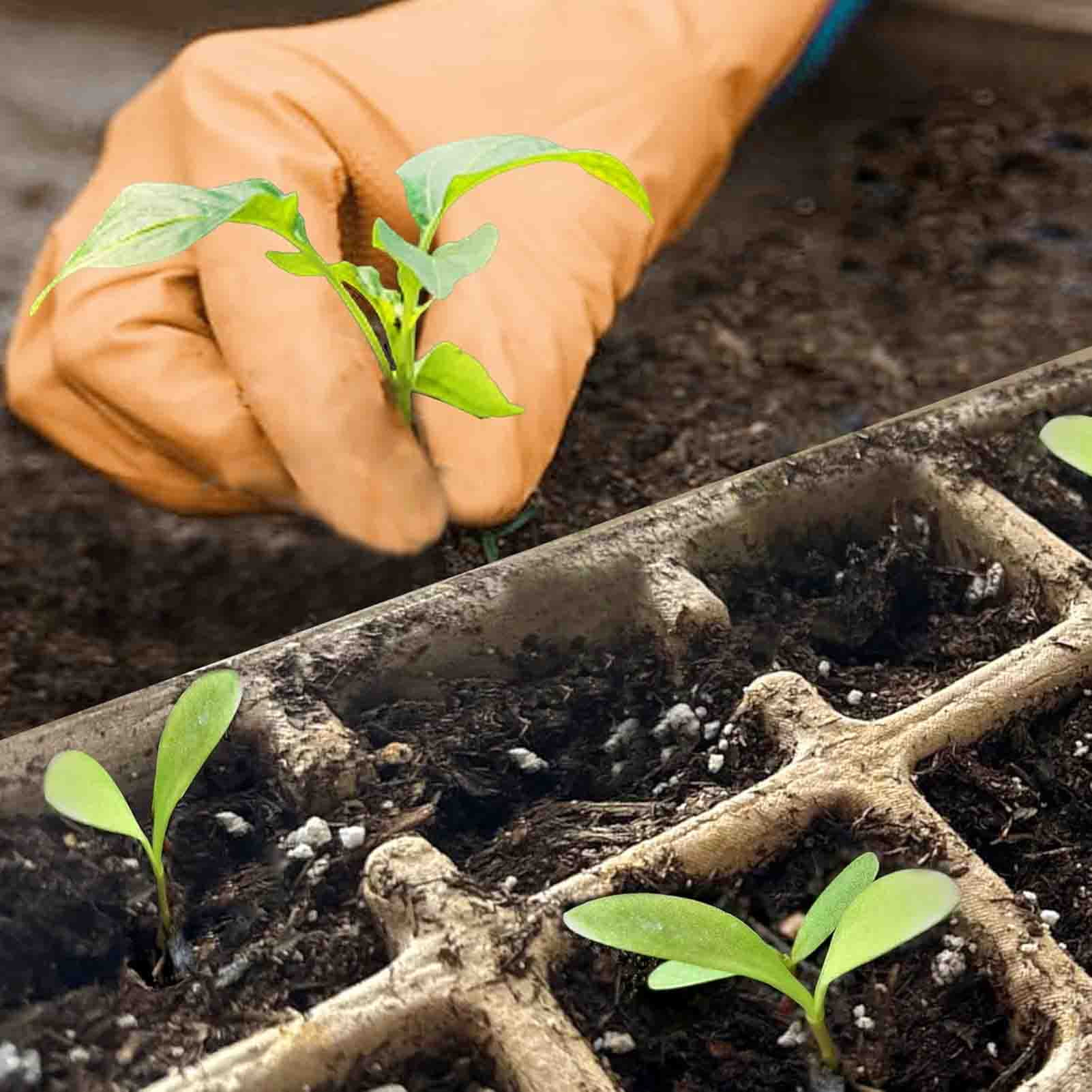 320Cells Seedling Start Trays with Drain Holes,20pcs Peat Pots Seedling Pots Biodegradable,Seedling Starter Kit,Organic Germination Plant Starter Trays(200xLabels,2xTransplant Tools,1xSpray Bottle)