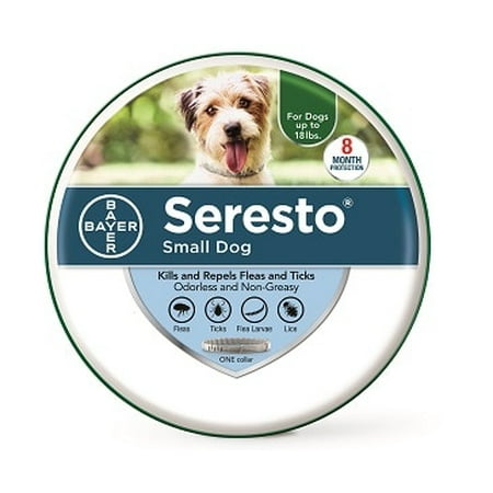 Seresto Flea and Tick Prevention Collar for Small Dogs, 8 Month Flea and Tick (Best Flea Collar For Large Dogs)