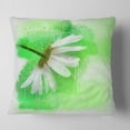 thumbnail image 2 of Designart White Chamomile with Green Splashes - Floral Throw Pillow - 16x16, 2 of 5