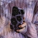 thumbnail image 2 of Funda de teléfono con flor púrpura estética para iPhone, fundas blandas de silicona de cuero, funda de moda 14 Pro 11 12 13 Pro Max X Poly XS Max zhangmengya LED, 2 of 2