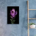 thumbnail image 4 of Epic Art 'Siam Tulip' by Elise Catterall, Acrylic Glass Wall Art, 16"x24", 4 of 8