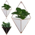 thumbnail image 2 of Coofit Succulent Pot Creative Fashion Planter Pot Hanging Flower Pot for Home Decor, 2 of 6