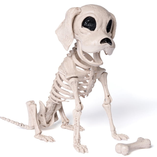 figura de juguete joyin posable con forma de esqueleto de perro para halloween, 25 x 12 x 32 cm Esqueleto de perro articulado en vista 3/4, sentado con patas delanteras dobladas; plástico color hueso con ojos y hocico negros, tornillos visibles en articulaciones, cola segmentada y hueso decorativo al frente; pensado para decoración de Halloween en interiores o exteriores y suele usarse también como pieza de exhibición coleccionable.