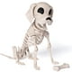 thumbnail image 1 of Figura de juguete JOYIN Posable con forma de esqueleto de perro para Halloween, 25 x 12 x 32 cm, 1 of 9