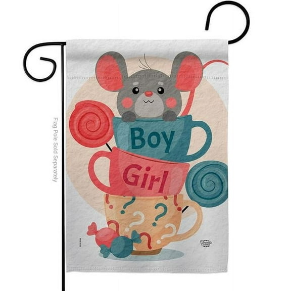 Ornament Collection G192674-BO Mousy Boy Girl Celebration New Born Double-Sided Decorative Garden Flag, Multi Color