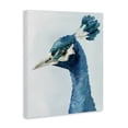 thumbnail image 3 of Stupell Industries Vivid Plumage Peacock Canvas Wall Art, design by Hannah Dawson, 20 x 16, 3 of 7