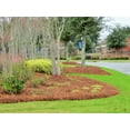 thumbnail image 4 of CleanStraw Longleaf Pine Straw Mulch 2.3 cu. Ft., 4 of 7