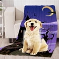 thumbnail image 2 of Suave Manta Para Perros Gato Para Mascotas Lavable Cálido Funda Cajas De Cajón Para Animales Halloween púrpura, 2 of 9