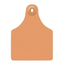 Allflex Global Maxi Blank Cattle Ear Tags 25 Count Orange