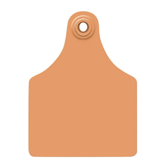 Allflex Global Maxi Blank Cattle Ear Tags 25 Count Orange