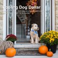 thumbnail image 2 of Relieve Summer Hot Dog Cat Cooling Bandana Pet Cooler Hielo Bufanda Collar Relief Tmvgtek Oficina Multiescena Multifunción, 2 of 9
