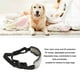 thumbnail image 3 of Gafas para Perros Protección contra el Viento y los Rayos UV Gafas para Mascotas Gafas de Sol a Prueba de Polvo para Perros de Tamaño Mediano y Grande ANGGREK Otros, 3 of 8