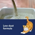 thumbnail image 6 of Fresh Step Outstretch Long Lasting Concentrated Clumping Cat Litter with Febreze Freshness, 19 lbs, 6 of 17