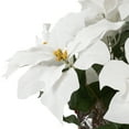 thumbnail image 6 of Northlight Artificial Christmas Poinsettia Flowers with Wrapped Base - 22" - White, 6 of 6