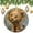 pattern-3011, variant on Watercolor Lion Artwork Christmas Tree Ornaments Forest King Wild Animal 2024 Christmas Ornaments Christmas Ornaments for Christmas Tree Decorations