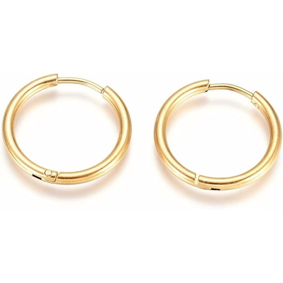 2Pairs 12 Gauge Golden 304 Stainless Steel Huggie Hoop Earring 20x2mm Small Huggie Hoop Earrings Tiny Hoops Earrings with 316 Stainless Steel Pin Jewelry and DIY Craft Material