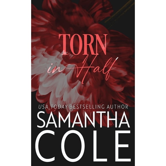Trident Security Torn in Half, Book 12, (Paperback)
