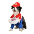 thumbnail image 1 of Dog Pizza Delivery Costume, 1 of 3