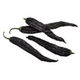 thumbnail image 4 of 50 Seeds PASILLA BAJIO PEPPER Mexican Chile Capsicum Annuum Vegetable Seeds, 4 of 8