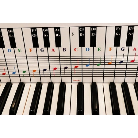 Piano and Keyboard Note Chart, Use Behind the Keys, Ideal Visual Tool for Beginners Learning Piano or Keyboard, Easy to Set Up, for any Medium to Full Size Piano or Keyboard, Cover Four Octaves