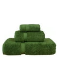 thumbnail image 1 of Luxury Hotel & Spa Quality Collection, Highly Absorbent & Quick Dry 100% Turkish Cotton, 750+ GSM, Eco Friendly Towel, Dobby Border Towels, 1 Bath Towel, 1 Hand Towel, 1 Washcloths (3 Piece, Green), 1 of 1