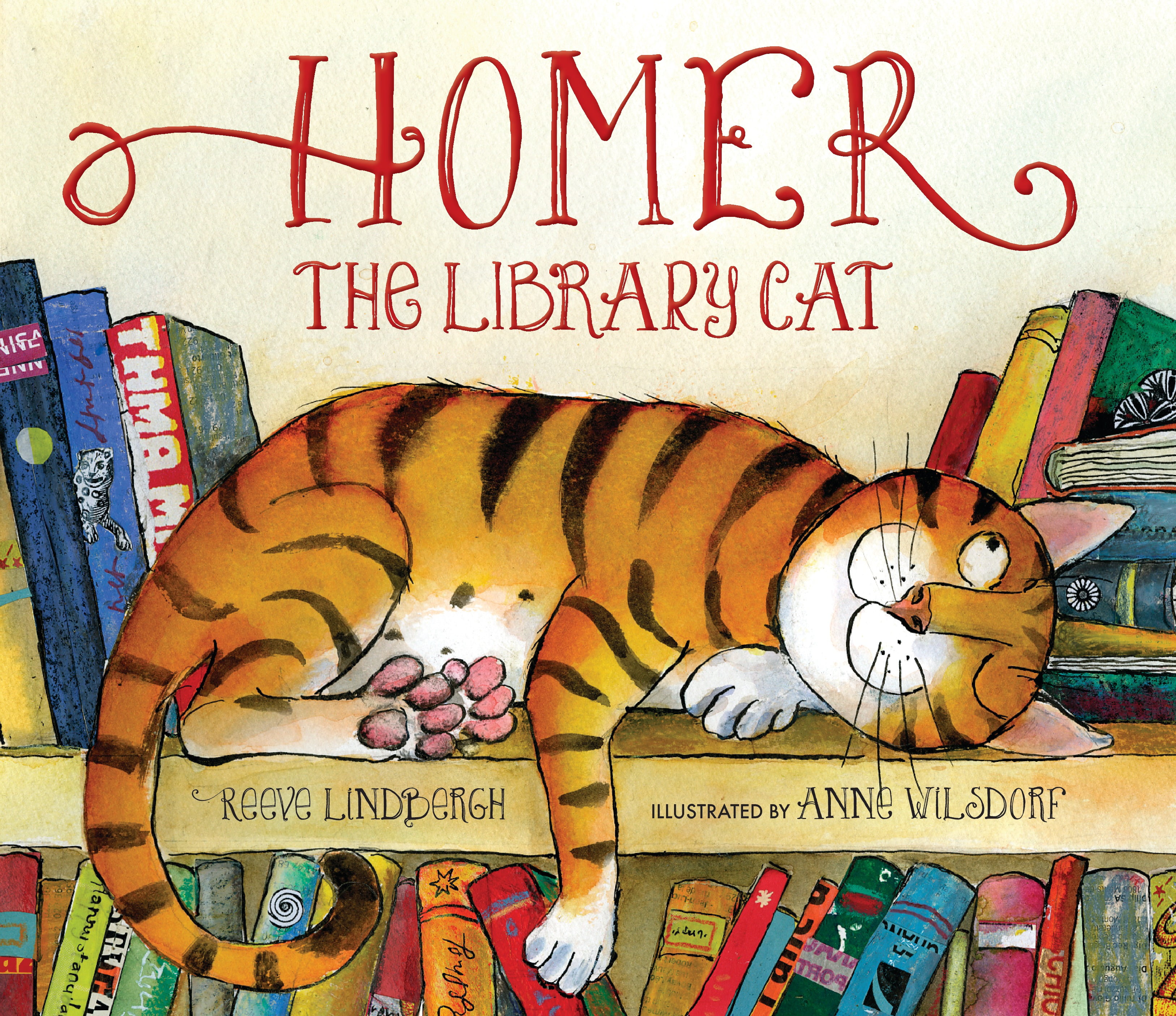 Homer, the Library Cat