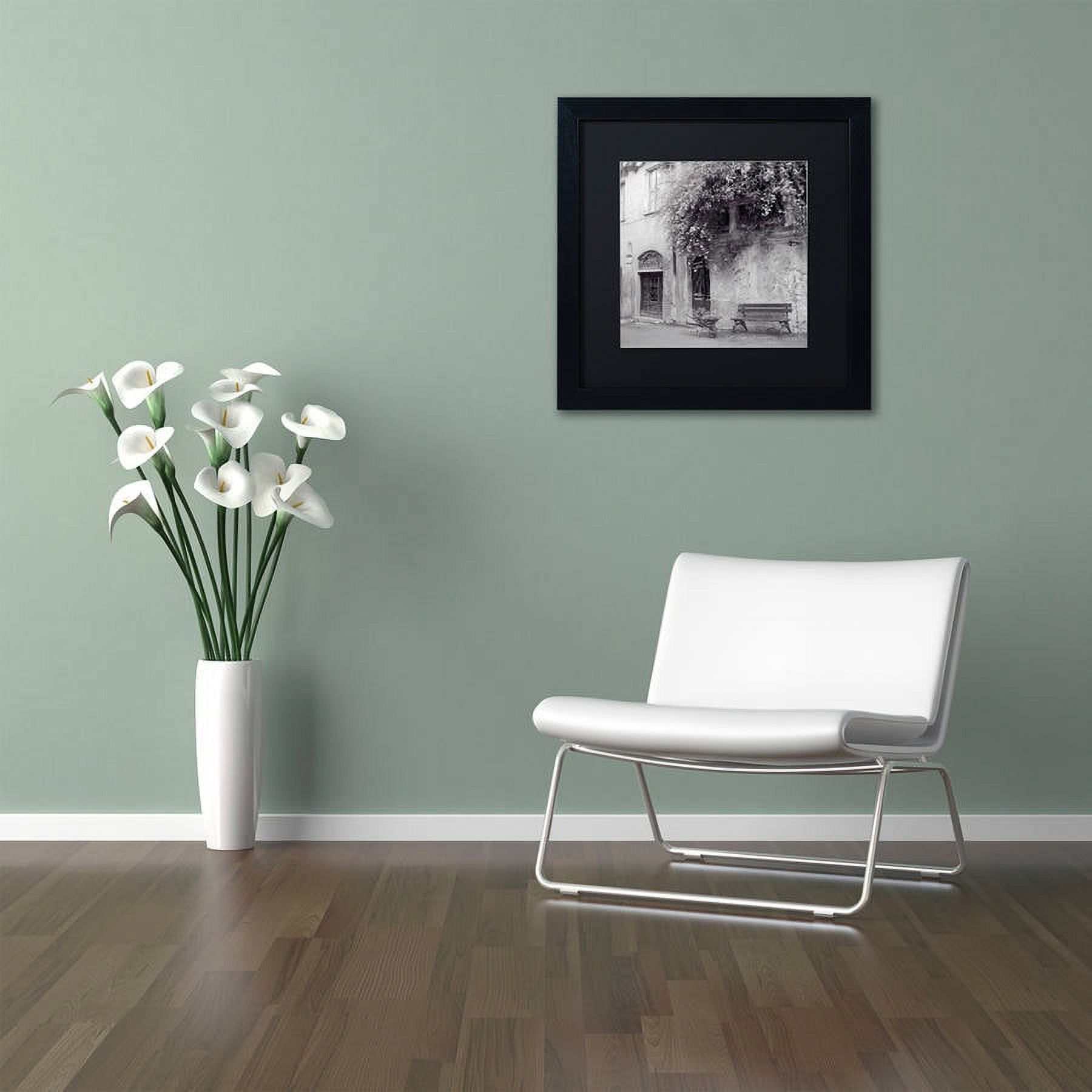 Trademark Fine Art "Liguria I" Canvas Art by Alan Blaustein, Black Matte, Black Frame