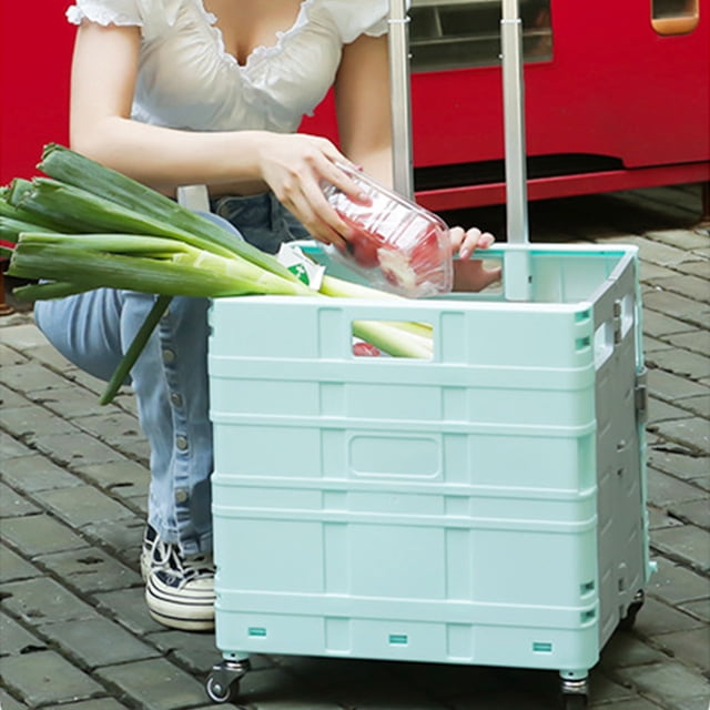Carrito de compras BuyWeek plegable con 4 ruedas compacto y liviano
