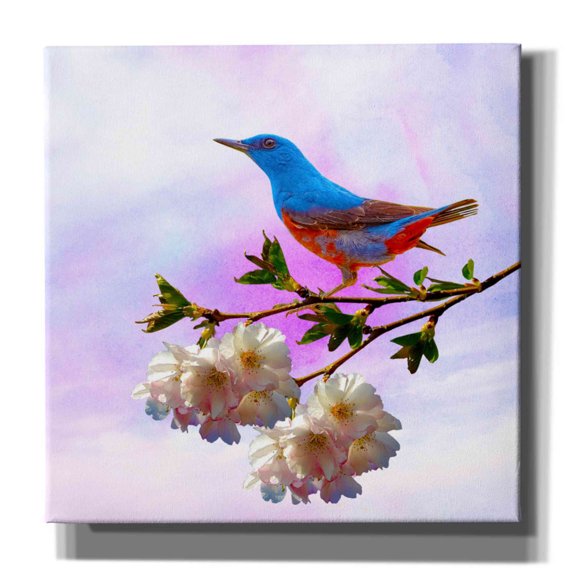 Epic Graffiti 'Spring Bird 3B' by Ata Alishahi, Giclee Canvas Wall Art, 18"x18"