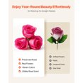 thumbnail image 4 of VEVOR Forever Flowers, 27 Preserved Roses in a Box, Eternal Flowers Immortal Bouquet Birthday Present for Delivery Prime Women Her Wife Mothers, Anniversary, Valentine's Day,Christmas, Rose Red, 4 of 9
