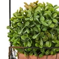thumbnail image 5 of Pure Garden 9.5" Faux Boxwood– 3 Matching Realistic Topiary Arrangements in Decorative Metal Baskets (Set of 3), 5 of 5
