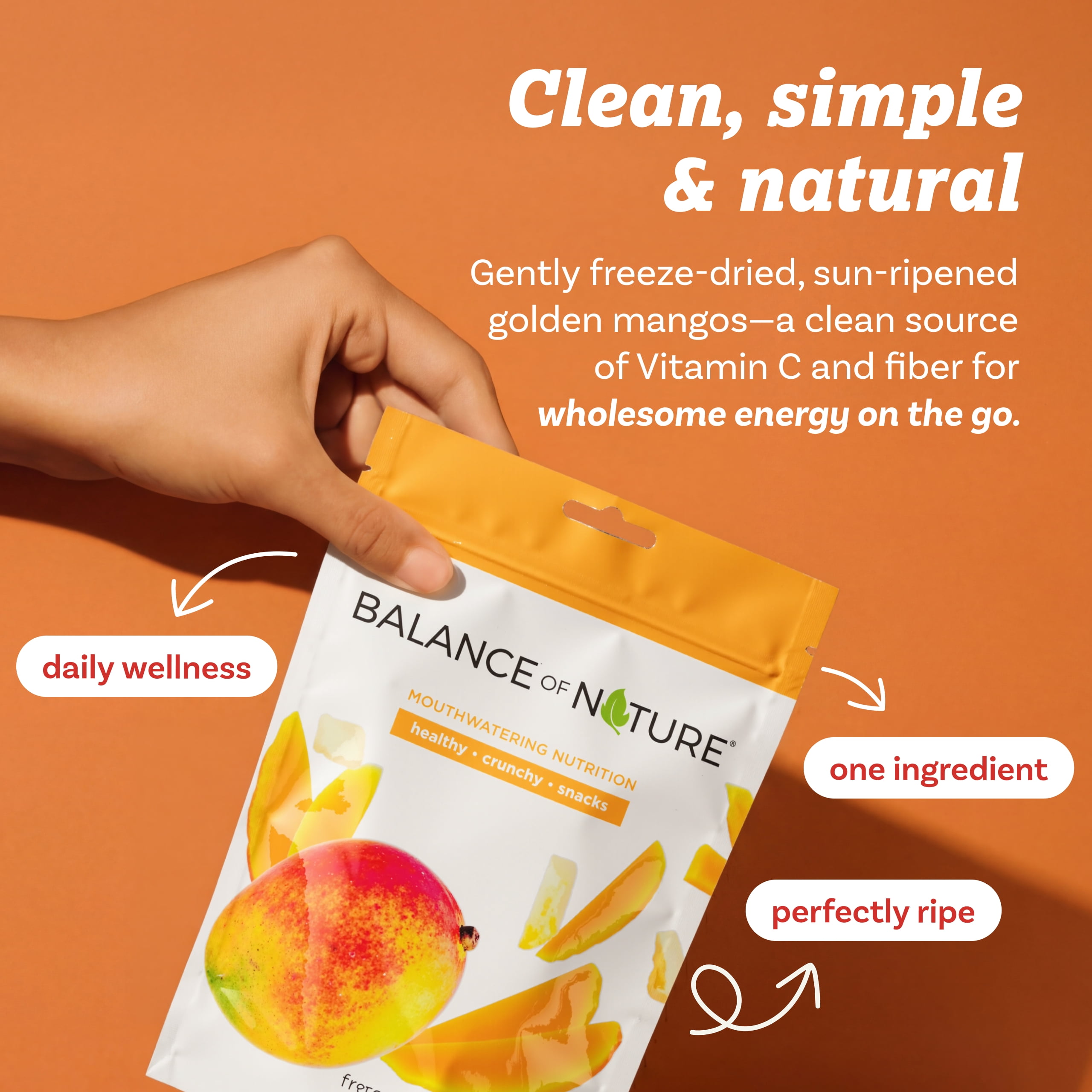 Balance of Nature Freeze-Dried Mangos (5 Pack) – 100% Real Fruit, Crunchy Mango Slices, Healthy Snack, Mouthwatering Nutrition, Gluten-Free, Vegan, No Sugar Added, Five 1.6 oz Bags