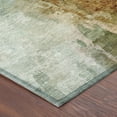 thumbnail image 3 of Addison Rugs Chantille Indoor/Outdoor Transitional Modern Aloe Machine Washable Rectangle Rug, 10' x 14', 3 of 8