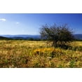 thumbnail image 2 of Alan Hausenflock 32x23 White Modern Wood Framed Wall Art Titled - Distant Mountains III, 2 of 5