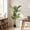Black (DIY Pot), variant on Easy4Home 3.7FT Artificial Plant Fake Tropical Potted Tree Indoor Faux Floor Plant for Home Office Decor