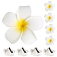 thumbnail image 1 of BRIGHTFUFU 24 Uds. Pinzas para el cabello hawaianas, pinzas para el cabello estilo playa, pinzas para el cabello con flores de Plumeria, accesorios para el cabello hawaianos, 1 of 1