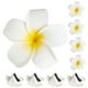 thumbnail image 1 of 24 pinzas para el pelo hawaianas estilo playero con flores de plumeria, accesorios hawaianos., 1 of 6