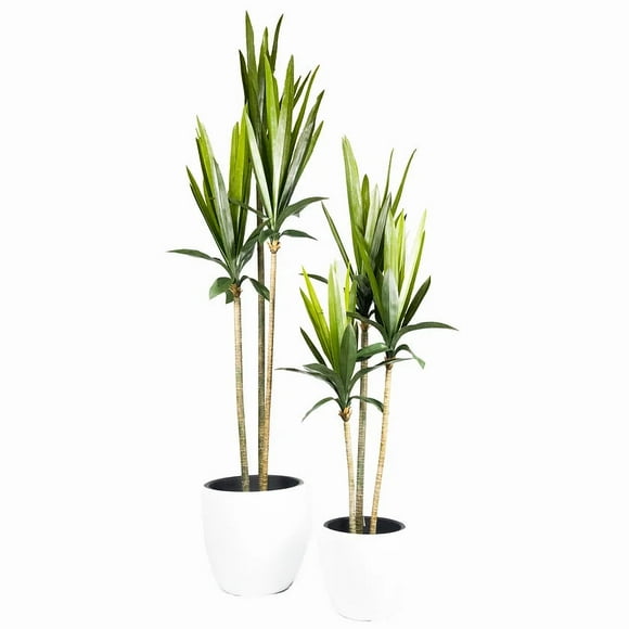 Triple Agave 60" Artificial Plant