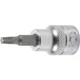 thumbnail image 1 of DADO CON PUNTA TORX T20 BGS 2542 3/8', 1 of 1